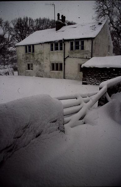 1983 Lowlands Farm.jpg - 1983 Lowlands Farm [photo: Jill Wolstenholme]