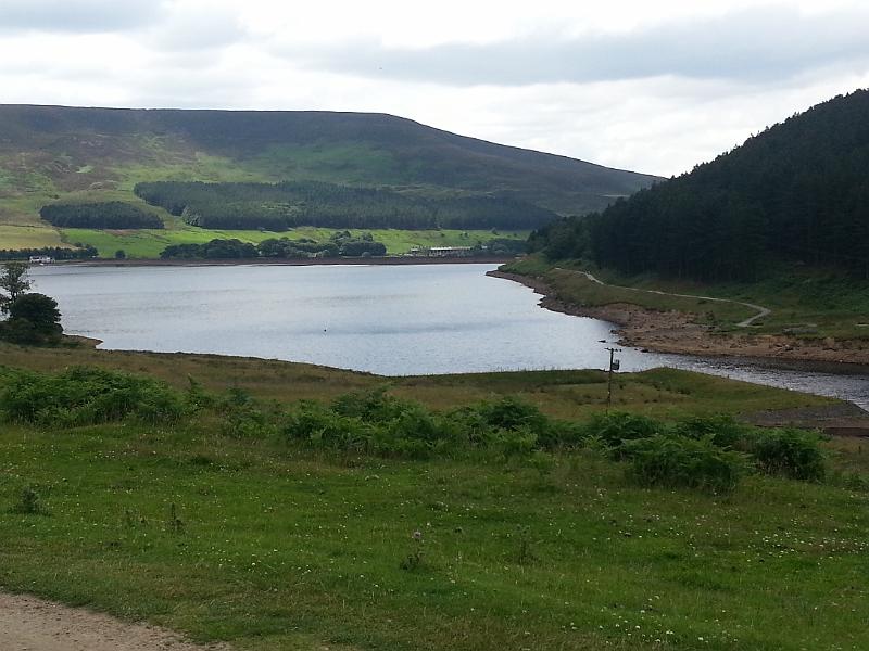 F - view towards Alphin Brow.jpg - View towards Alphin Brow, 8th July, 2014 [photo: Linda Mason]