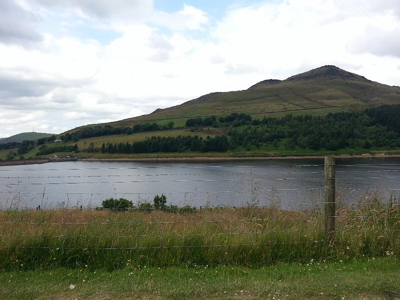H - Alderman's Hill from the Bench.jpg - Alderman's Hill from the bench, 8th July, 2014 [photo: Linda Mason]