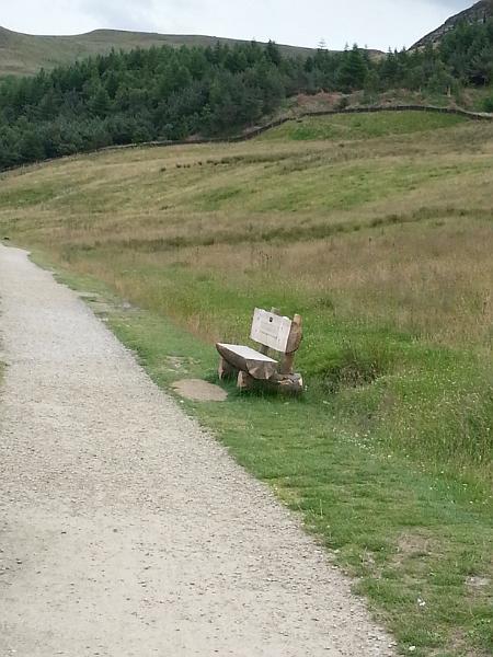 N - Bench.jpg - 8th July, 2014 [photo: Linda Mason]