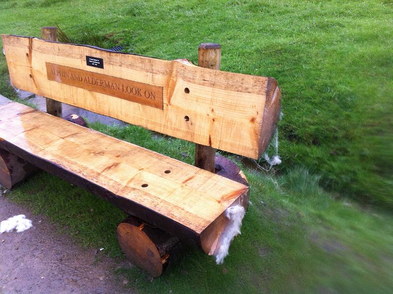 photo39.JPG - Photo by Sue's cousin, Derek. The local sheep love the bench, and it is now, literally, a woolly bench!